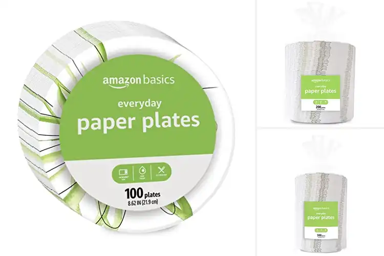 Detailed view of 10 Best Everyday Use Paper Plates: Durable, Affordable
