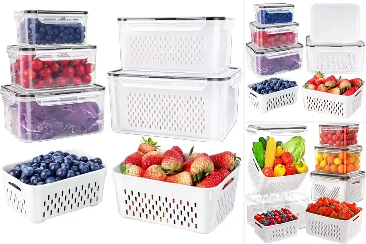 Detailed view of Best Fresh Fruit Containers