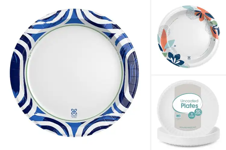 Detailed view of 10 Best Heavy Duty Paper Plates for Tough Meals