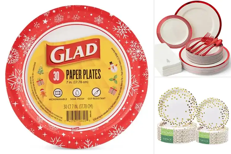 Detailed view of 10 Best Holiday Disposable Plates for Effortless Entertaining