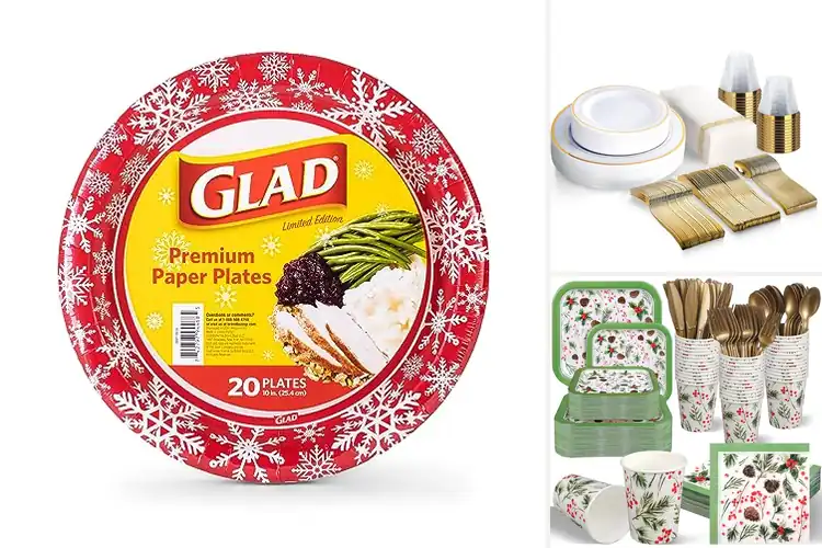 Detailed view of 9 Best Holiday Plates for Relaxing Gatherings