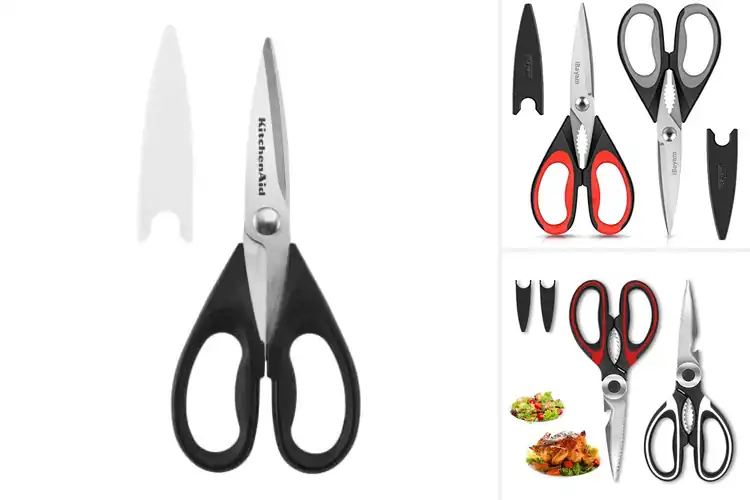 Detailed view of Best Kitchen Scissors
