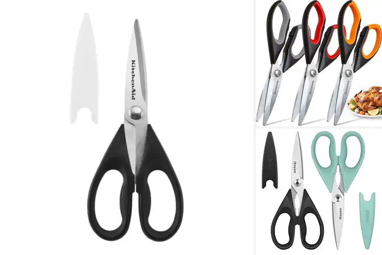 Detailed view of Best Kitchen Shears