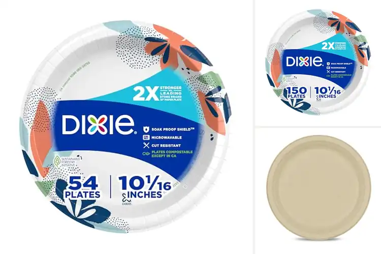 Detailed view of 10 Best Kosher Disposable Plates: Strong & Leak‑Proof