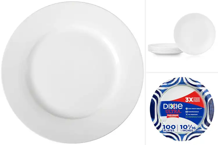 Detailed view of 10 Best Large Dinner Plates: Perfect for Family Meals