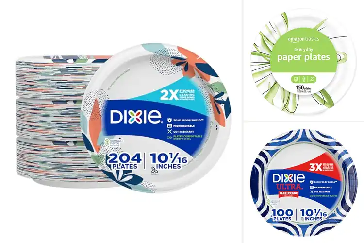 Detailed view of 10 Best Large Paper Plates: Sturdy for Every Meal