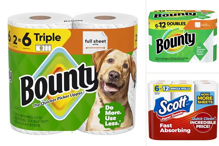 Detailed view of 10 Best Large Sheet Paper Towels: Absorb Spills Fast