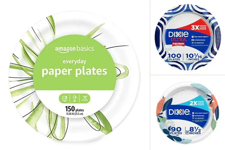 Detailed view of Best Leak-Proof Disposable Plates