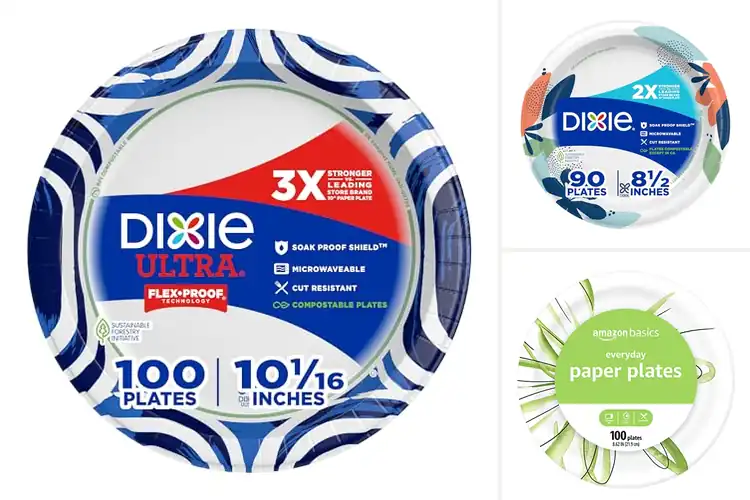 Detailed view of 10 Best Leak-Proof Paper Plates for Mess-Free Meals