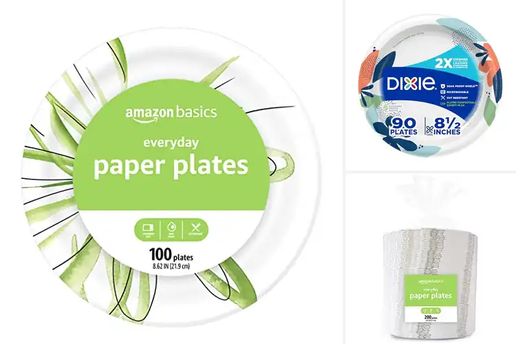 Detailed view of 10 Best Lunch Plates: Easy & Safe Meals