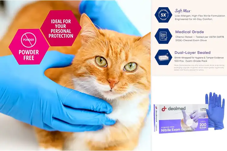 Detailed view of 10 Best Medical Gloves for First Responders: Comfort & Safety