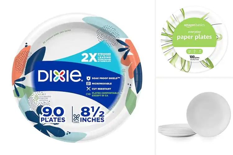 Detailed view of 10 Best Medium Plates: Transform Messy Meals into Family Fun