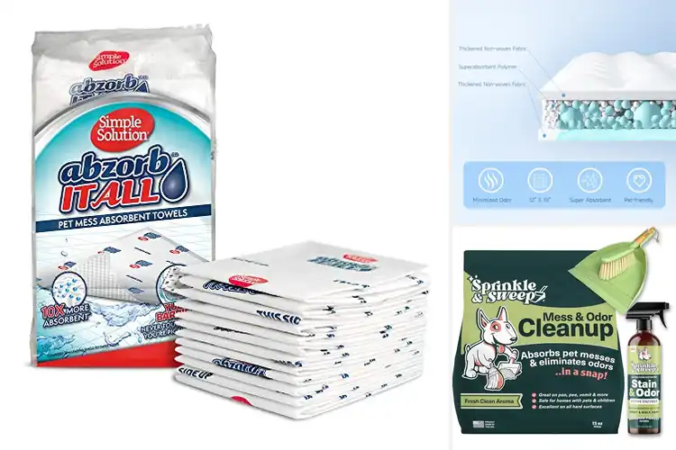 Detailed view of Best Mess Cleanup Solutions