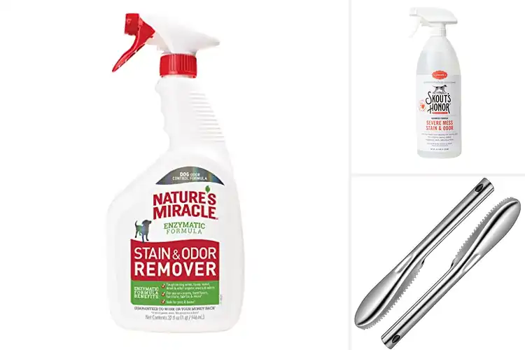 Detailed view of 10 Best Mess Removers: User-Approved Solutions