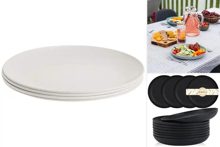 Detailed view of 10 Best Micro Wave Safe Plates for Effortless Reheating