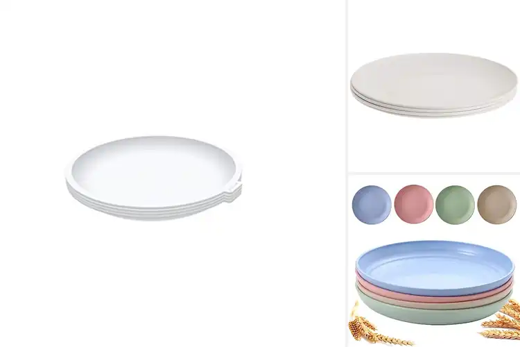 Detailed view of 10 Best Microwave Plates: Durable & Safe