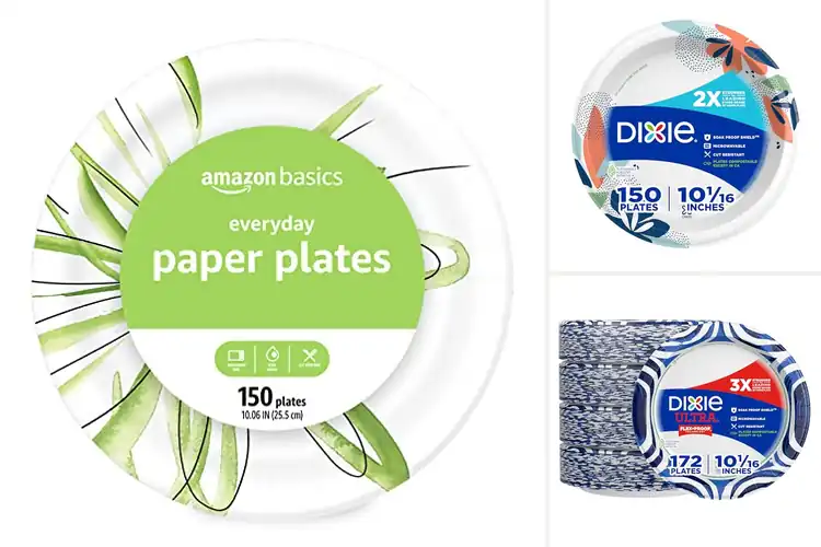 Detailed view of 10 Best Microwave Safe 10In Paper Plates For Everyday Use