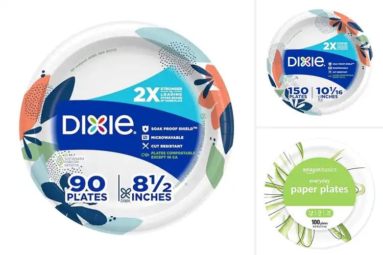 Detailed view of 10 Best Microwave Safe Disposable Plates For Everyday Meals