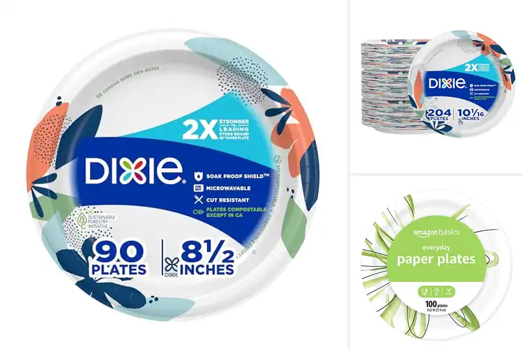 Detailed view of 10 Best Microwave Safe Paper Plates for Convenience: Easy