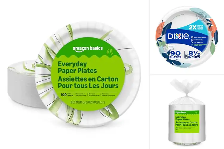 Detailed view of Best Multi-Use Disposable Plates