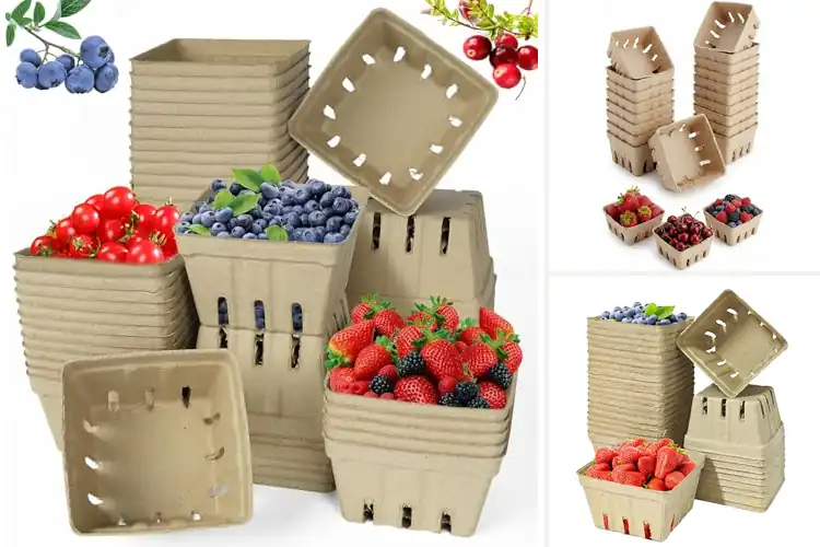 Detailed view of Best Natural Pulp Baskets: Fresh Fruit, Space-Saving Storage