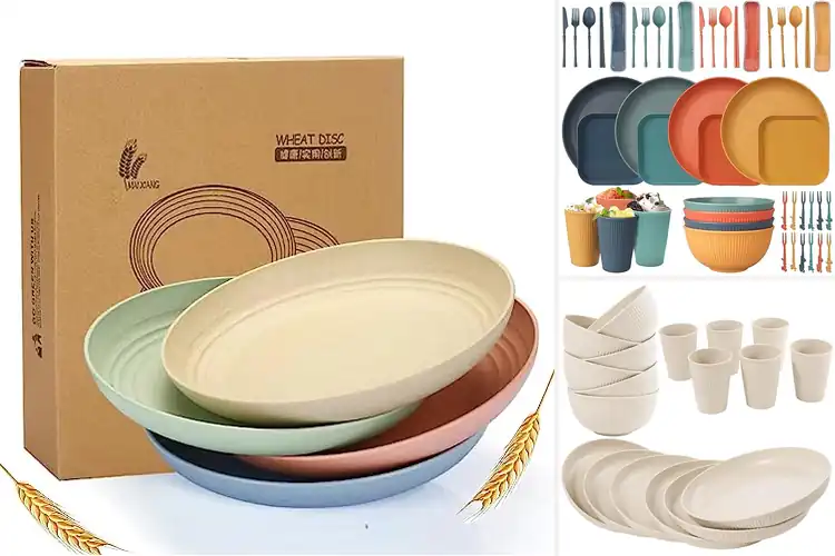 Detailed view of Best Outdoor Picnic Plates