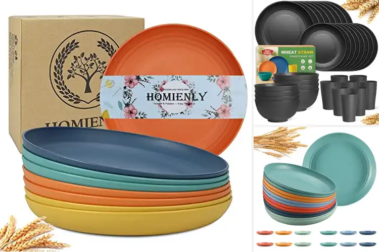 Detailed view of 10 Best Outdoor Plates : Dine Anywhere, Worry-Free
