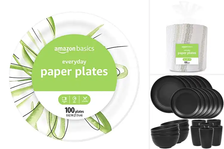 Detailed view of 10 Best Pack Plates: Dishwashing-Free Camping Joy