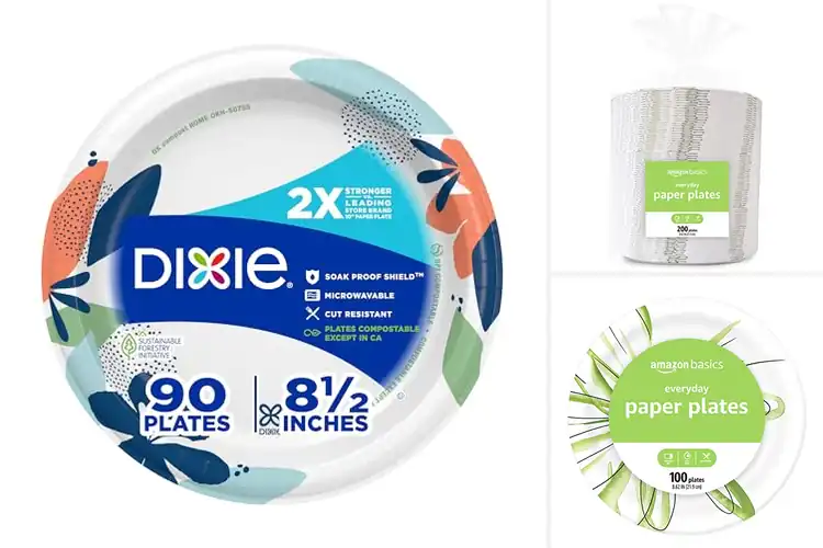 Detailed view of Best Paper Dinnerware: Top 10 Picks for Stress-Free Meals