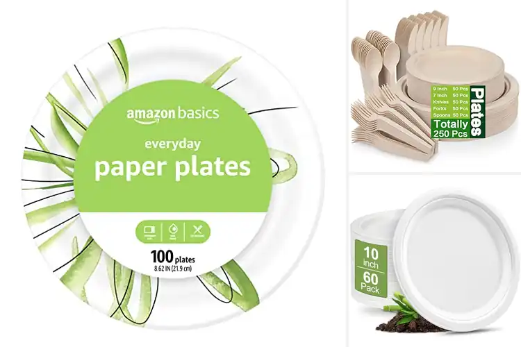 Detailed view of 10 Best Paper Plate For Parties And Picnics: Sturdy Eco Picks
