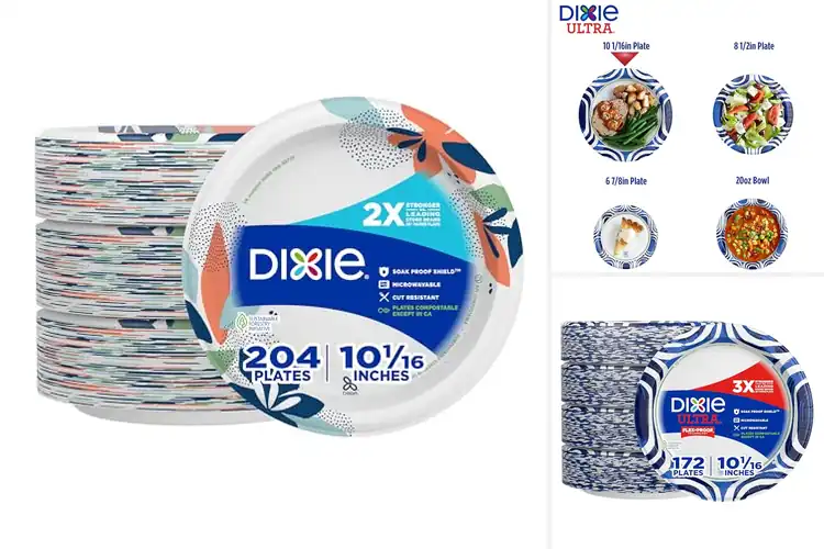 Detailed view of 10 Best Paper Plates for Heavy Meals That Won’t Fold