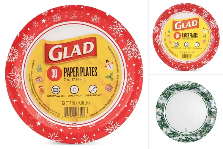 Detailed view of 10 Best Paper Plates For Holidays That Simplify Cleanup
