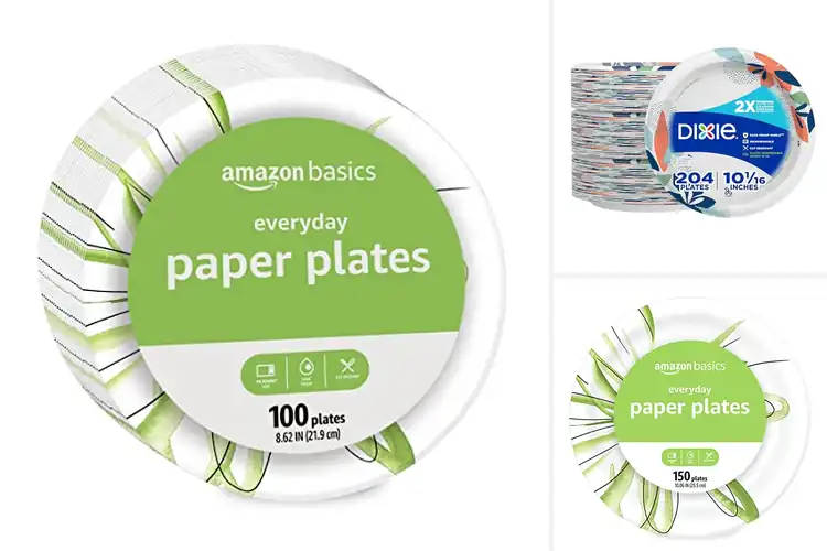 Detailed view of 10 Best Paper Plates: Simplify Cleanup & Enjoy More Fun