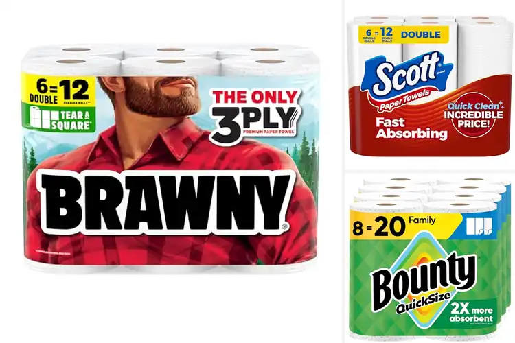 Detailed view of 10 Best Paper Towels for Absorbency: Quick Cleanups Made Easy