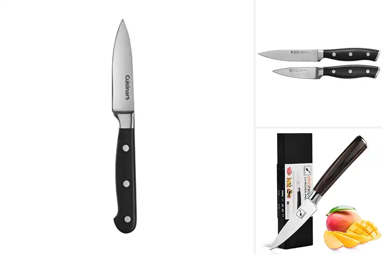 Detailed view of Best Paring Knives For Professional Chefs