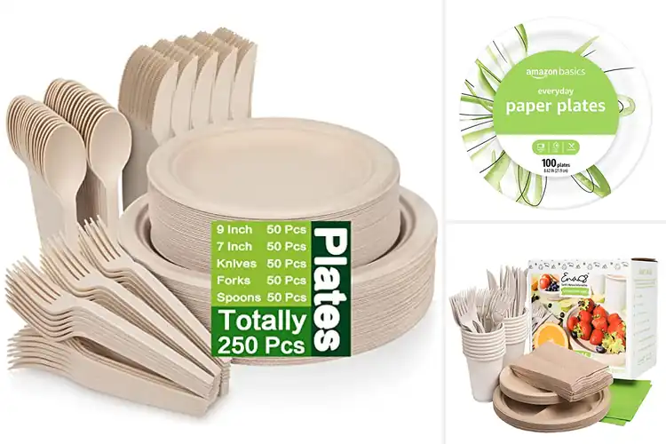 Detailed view of 10 Best Party And Picnic Paper Plates – Eco & Leak‑Proof