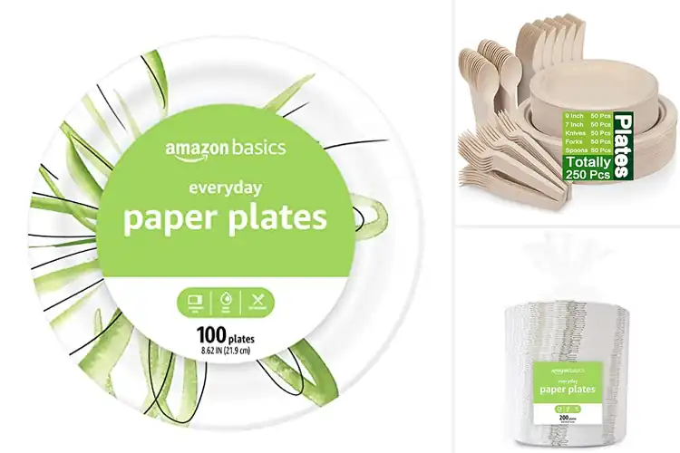 Detailed view of 10 Best Party Picnic Paper Plates: Easy Cleanup