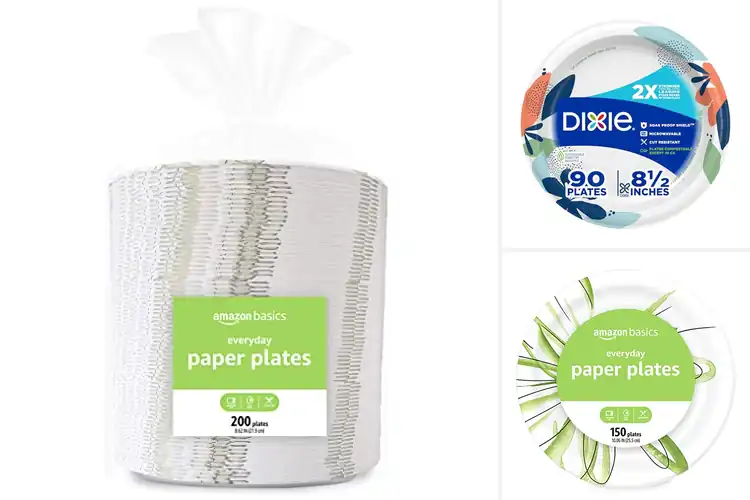 Detailed view of 10 Best Party Plates Disposable: Elevate Your Hosting Game