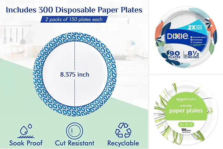 Detailed view of 10 Best Party Plates: Durable Picks for Easy Hosting