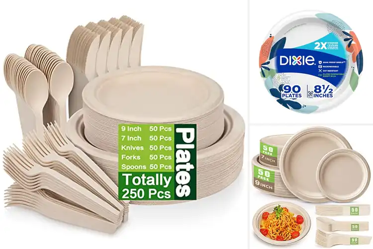 Detailed view of 10 Best Picnic Disposable Plates: Easy, Green