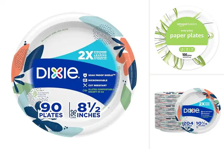 Detailed view of 10 Best Picnic Paper Plates: Durable & Eco-Friendly Choices