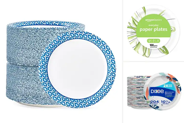 Detailed view of 10 Best Picnic Plates for Spotless Outings