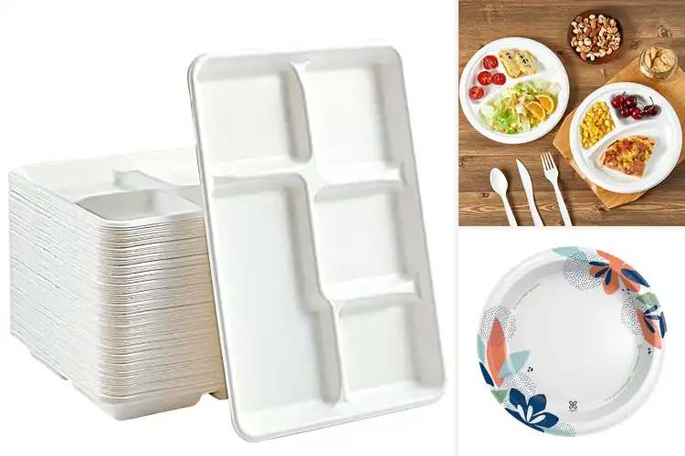 Detailed view of 10 Best Plates for Large Meals and Parties: Hassle-Free Hosting