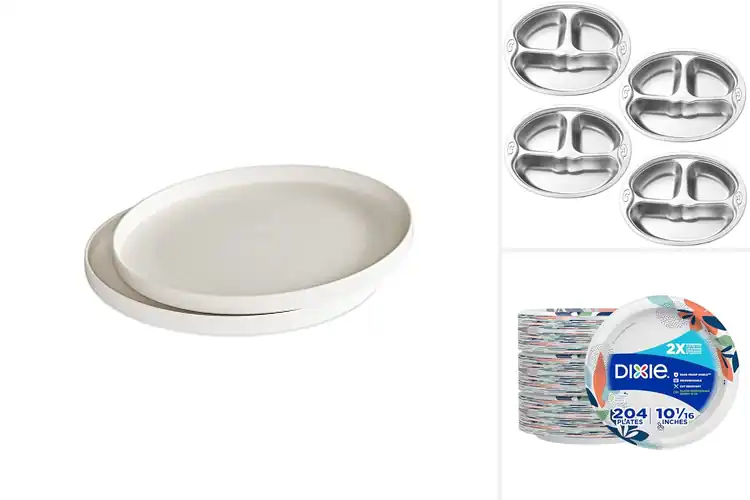 Detailed view of 10 Best Plates for Large Meals: Spacious and Reliable Picks