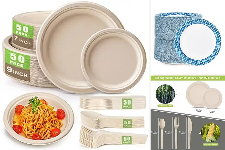 Detailed view of 10 Best Plates for Parties and Picnics | Top Picks & Tips