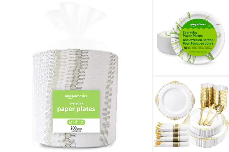 Detailed view of Best Plates for Parties