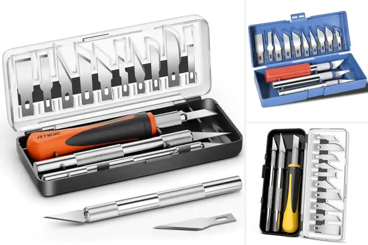 Detailed view of Best Precision Carving Knives