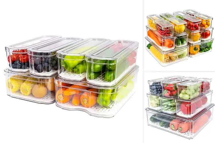 Detailed view of 10 Best Refrigerator Storage Solutions to Save Time & Space