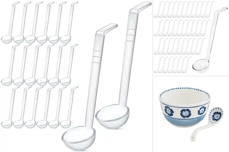 Detailed view of 6 Best Salsa Ladles for Mess-Free Entertaining