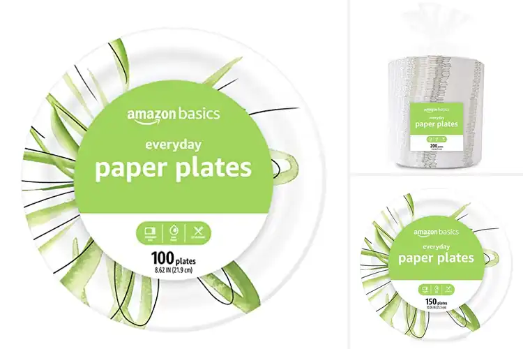 Detailed view of 10 Best SFI Certified Dishware Plates: Sustainable Choices